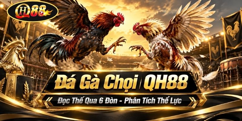 Đá Gà Chọi QH88 | Đọc Thế Qua 6 Đòn - Phân Tích Thể Lực