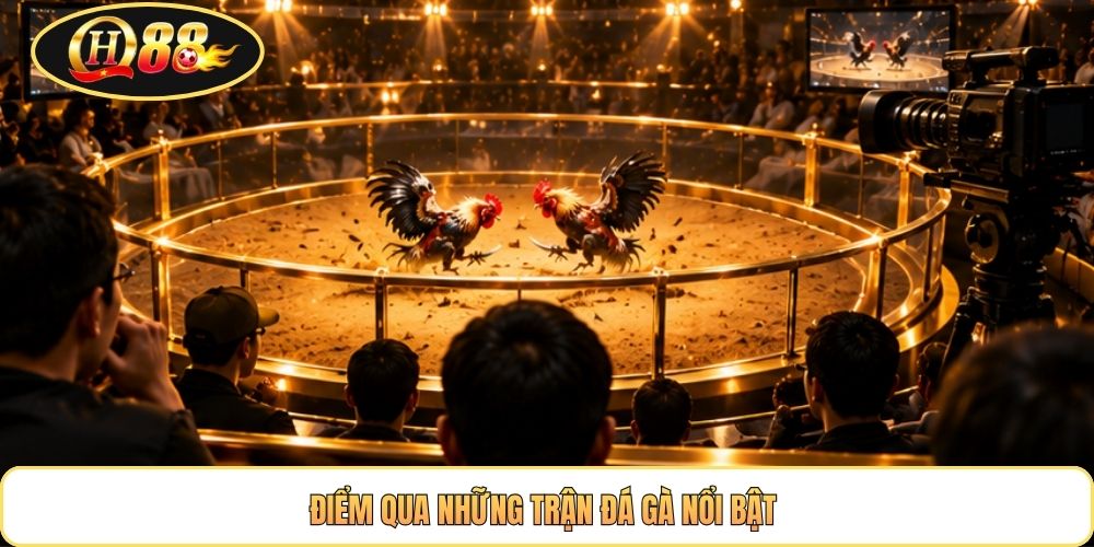 Điểm qua những trận đá gà nổi bật