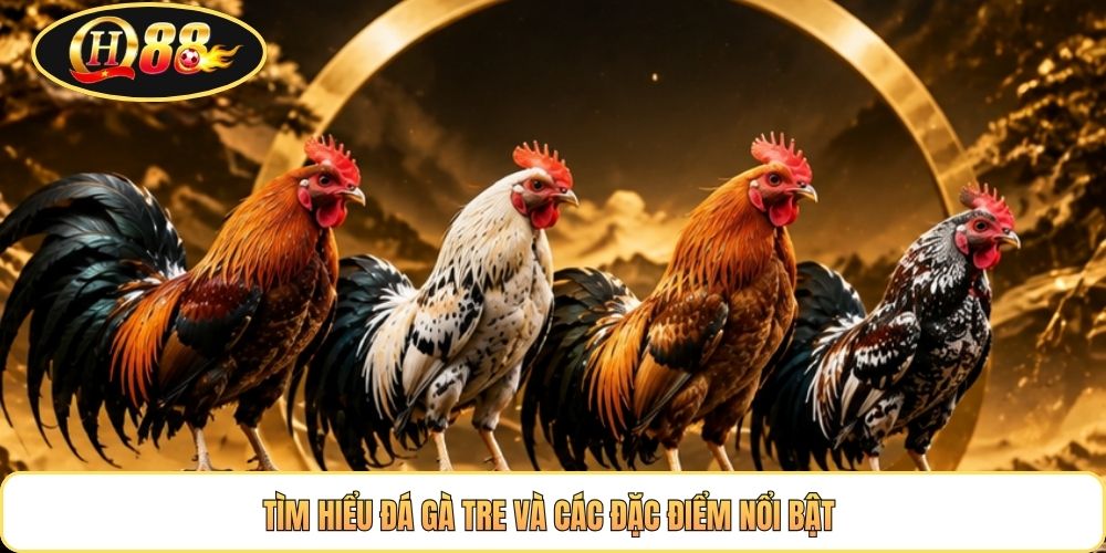 Tìm hiểu đá gà tre và các đặc điểm nổi bật